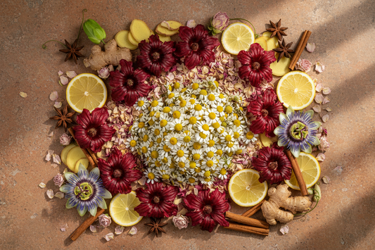 The Art of Brewing: A Complete Guide to Every Sun Moon and Root Remedy Tea